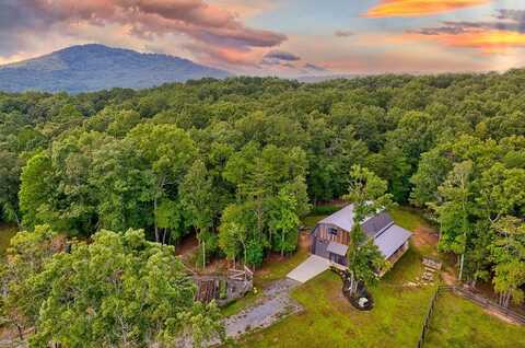 174 Bear Hollow Drive, Mineral Bluff, GA 30559