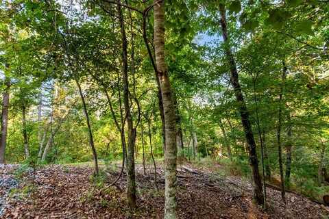Lt 2076r Parody Circle, Ellijay, GA 30540