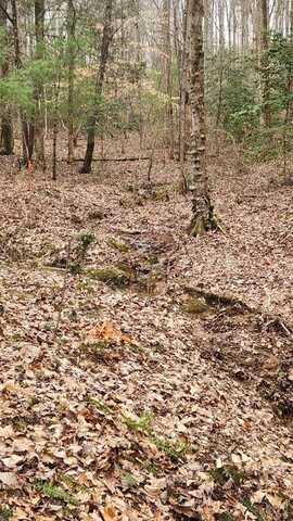 Lot 78 Jakes Landing Way, Ellijay, GA 30540