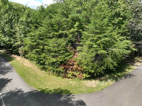 123 Edinborough Court, Ellijay, GA 30536