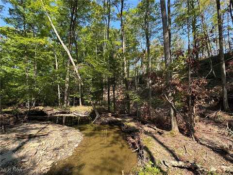 V/L 2 Sidley Road, Thompson, OH 44086