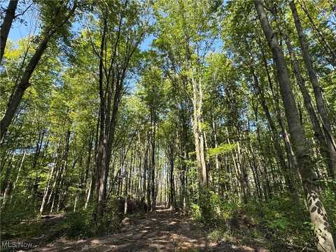 V/L 1 Sidley Road, Thompson, OH 44086