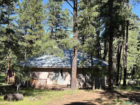 52 E Forest Drive, Rociada, NM 87742