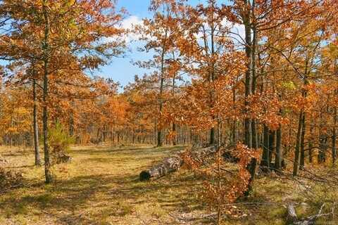 65300 Blackhawk Ridge Road, Proctor, OK 74457