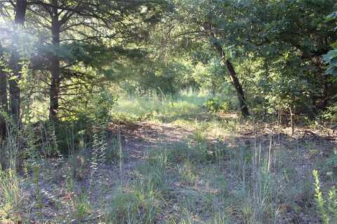 Tbd CR 935, Teague, TX 75860