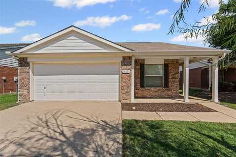 9113 Chisholm Trail, Crossroads, TX 76227