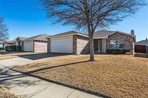 2236 White Pine Drive, Little Elm, TX 75068