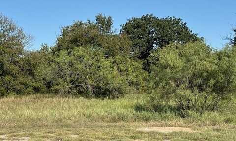 31033 Doe Run Court, Whitney, TX 76692