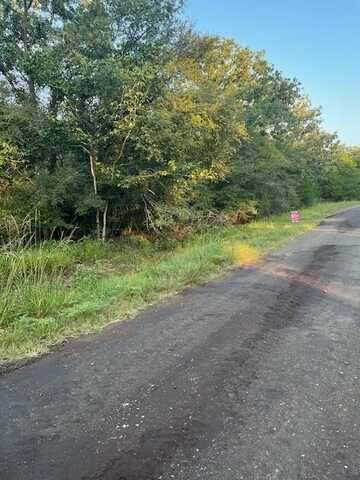 Tbd LCR 750, Thornton, TX 76687