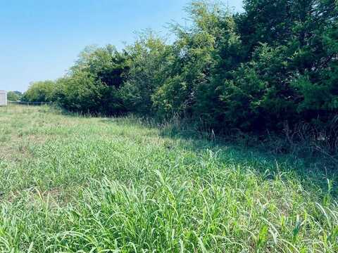 Tbd County Road 1450 Road, Point, TX 75472