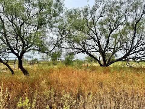 Tbd NW 19th St, Hamlin, TX 79520
