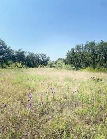 6955 Ennis Drive, Brownwood, TX 76801
