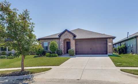 1404 Rosebush Road, Aubrey, TX 76227