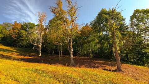 01234 Little Bullskin Road, Patriot, OH 45658