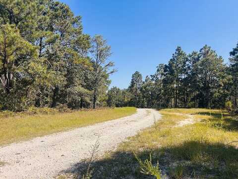6842 GA Highway 240 Tract 1, Box Springs, GA 31801