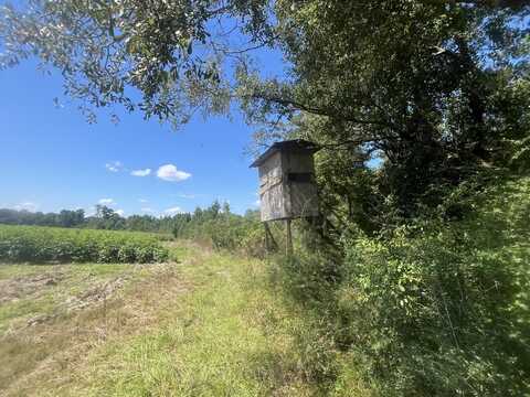 3 N Hwy 167, New Brockton, AL 36351