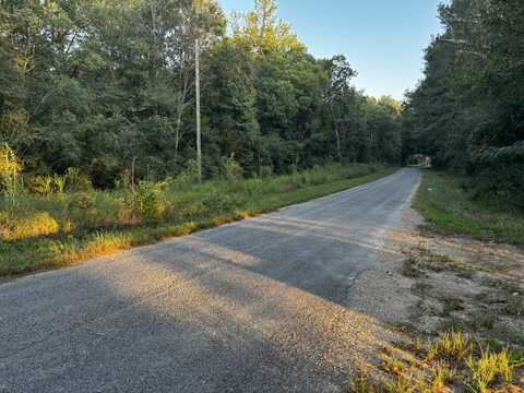 0 County Road 95, Hubbertville, AL 35555