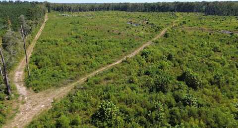 TBD Highway 63, Ruffin, SC 29475