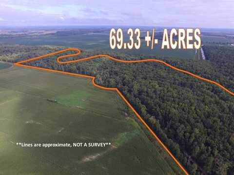 CR 2800 E and CR 1975 N, Mt. Erie, IL 62446