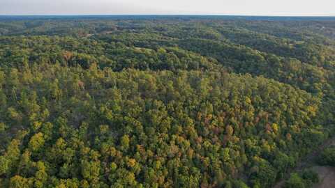 TBD Holt Woods Rd, Galena, MO 65656
