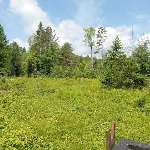 xx Crystal Lake Rd, Dolgeville, NY 13470