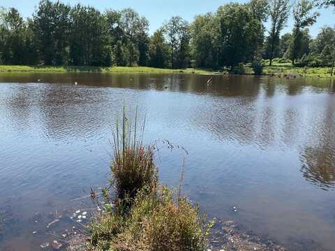 87 County Road 161, Brundidge, AL 36010