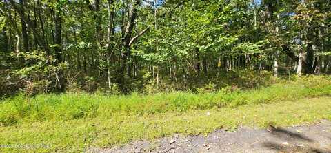 A187 White Oak Lane, Jim Thorpe, PA 18229