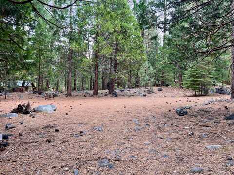61 Paiute Trail, Graeagle, CA 96103