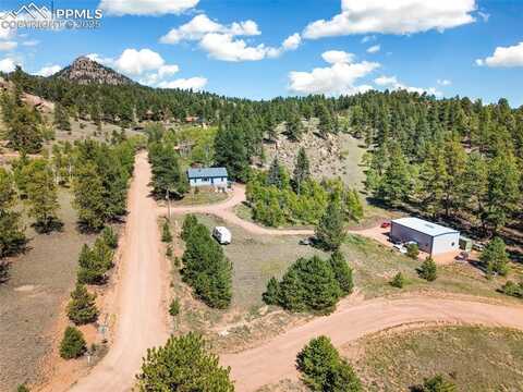 76 Crystal Peak Road, Florissant, CO 80816