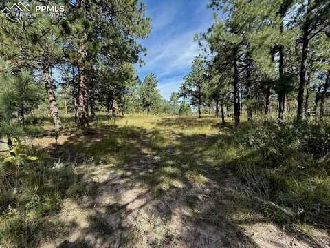 17435 E Goshawk Road, Colorado Springs, CO 80908