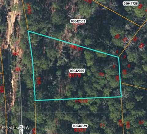 Tbd Wild Cherry Drive, Vass, NC 28394