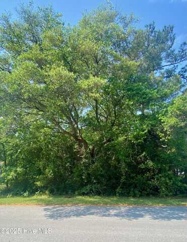 1365 Riverview Drive SW, Shallotte, NC 28470