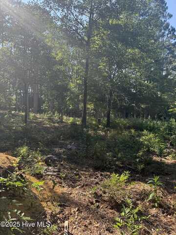 Tbd Stephanie Street, Southern Pines, NC 28387