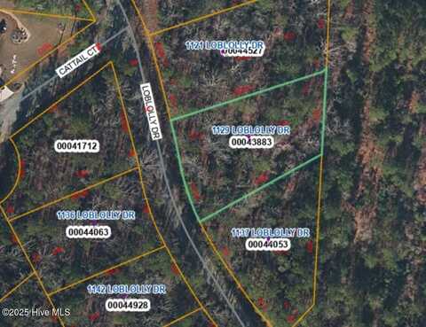 1129 Loblolly Drive, Vass, NC 28394