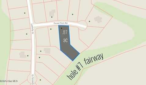 30 Forest Fern Court, Wagram, NC 28396