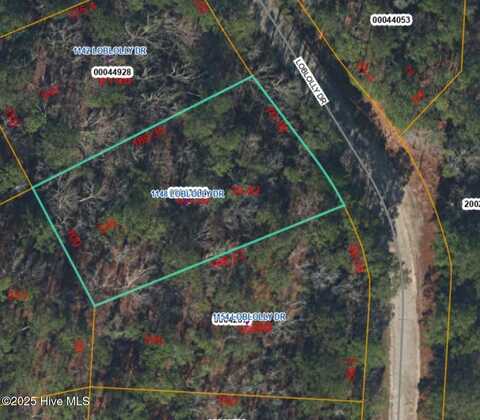 1148 Loblolly Drive, Vass, NC 28394