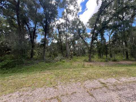 1628 E Derby Drive, Dunnellon, FL 34434