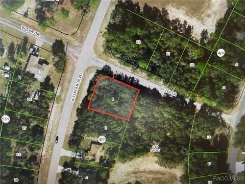 3010 W Iva Drive, Citrus Springs, FL 34434