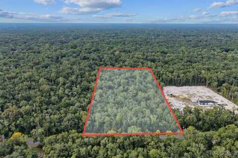 NE 206th Avenue, Old Town, FL 32680