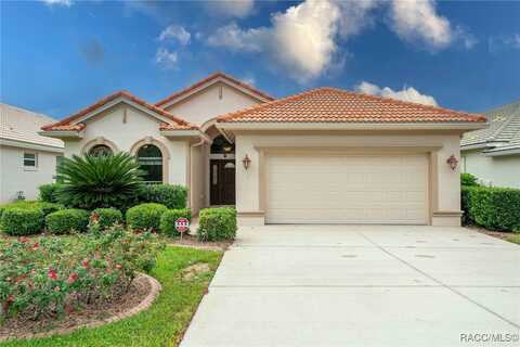 1299 W Skyview Crossing Drive, Hernando, FL 34442
