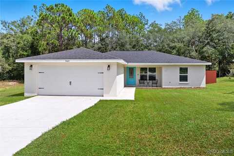 9025 N Hammond Way, Citrus Springs, FL 34434