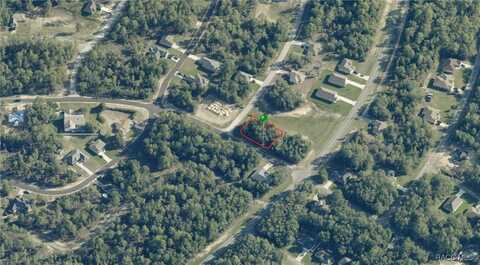 10655 N Dragonis Drive, Citrus Springs, FL 34434