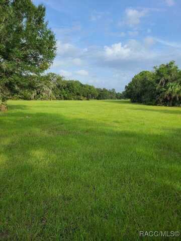 5573 N Larue Denise Terrace, Crystal River, FL 34428
