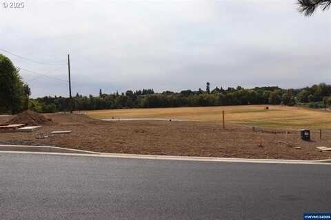 Lot 1 Block 7, Carlton, OR 97111