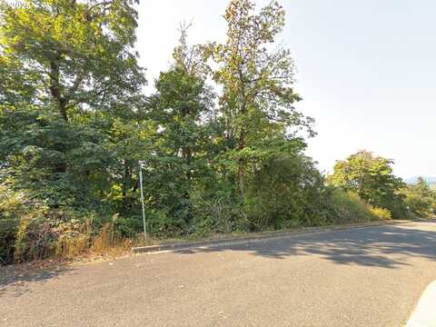 000000 NW Maryland ST, Camas, WA 98607
