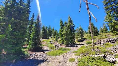 Haight Mountain, MacDoel, CA 96058