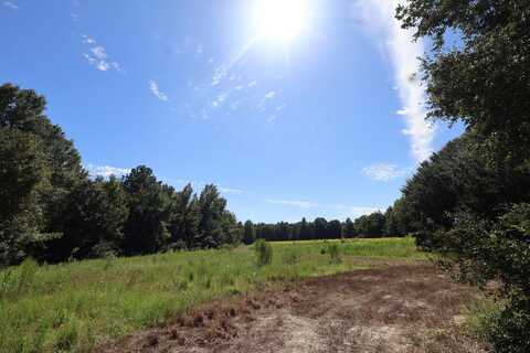 1349 Patton Road, Manning, SC 29102