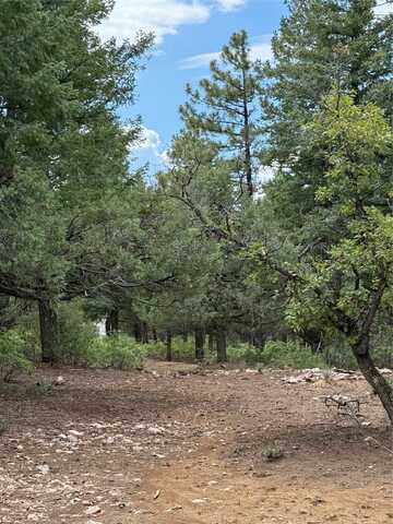 Lakeview unit: 4, Chama, NM 87520