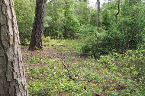 7300 OAK RIDGE PL, CHINCOTEAGUE, VA 23336