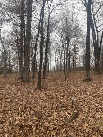 1172 Veterans Dr, Muscle Shoals, AL 35661